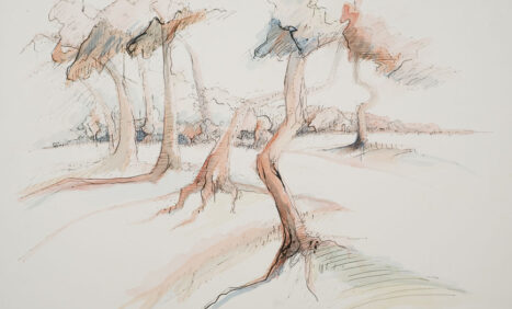 Sandra Ross, Fraser Island Memory Series, 2010, watercolour and Ink on paper