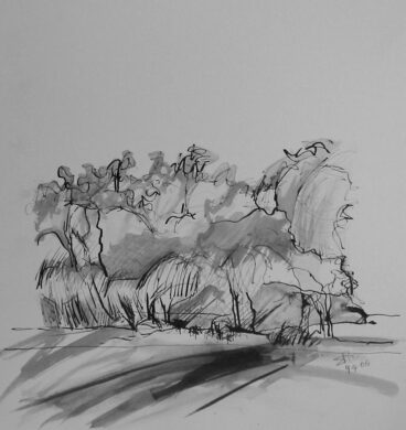 Sandra Ross, Fraser Island Ink sketch, 2005